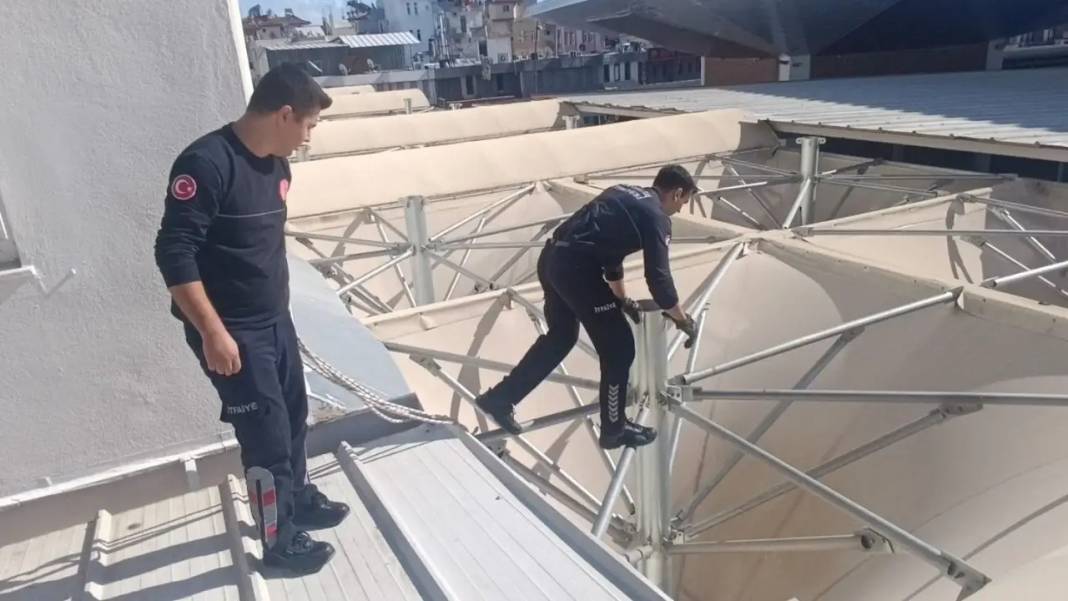 Manavgat’ta Kedinin Çatı Keyfi Krize Dönüştü! İmdadına İtfaiye Yetişti 3